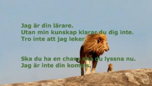 Lärarlejon med text